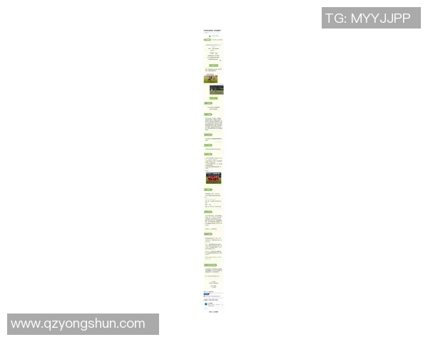 一图看懂2025中国足球职业联赛的数字背后与发展趋势分析